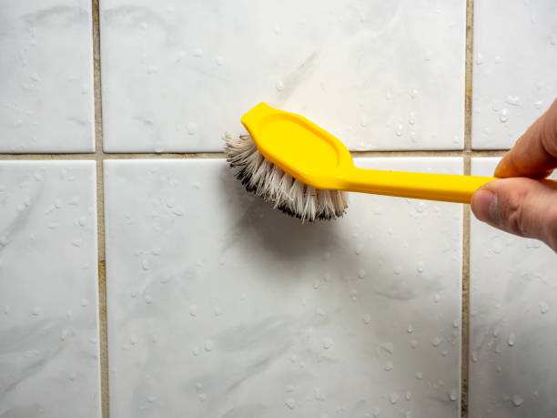 Best Emergency Mold Removal  in Valparaiso, IN