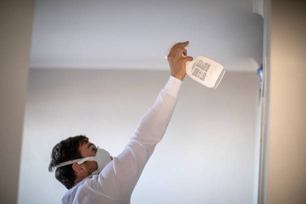 Best Black Mold Removal  in Valparaiso, IN