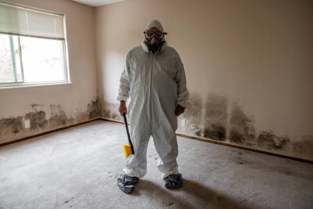Best Certified Mold Removal  in Valparaiso, IN